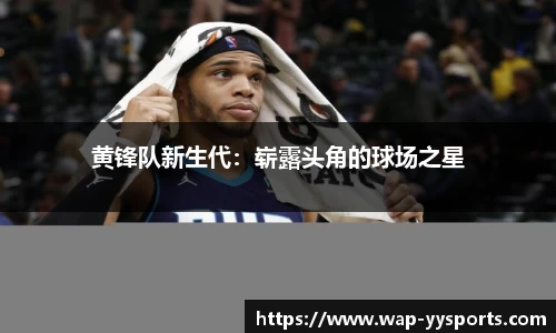 yy易游体育官网
